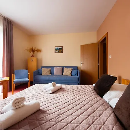 Penzión pre hostí Park 3*